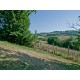 Search_FARMHOUSE TO RENOVATE FOR SALE IN THE MARCHE IN A WONDERFUL PANORAMIC POSITION SURROUNDED BY A PARK in Le Marche_34